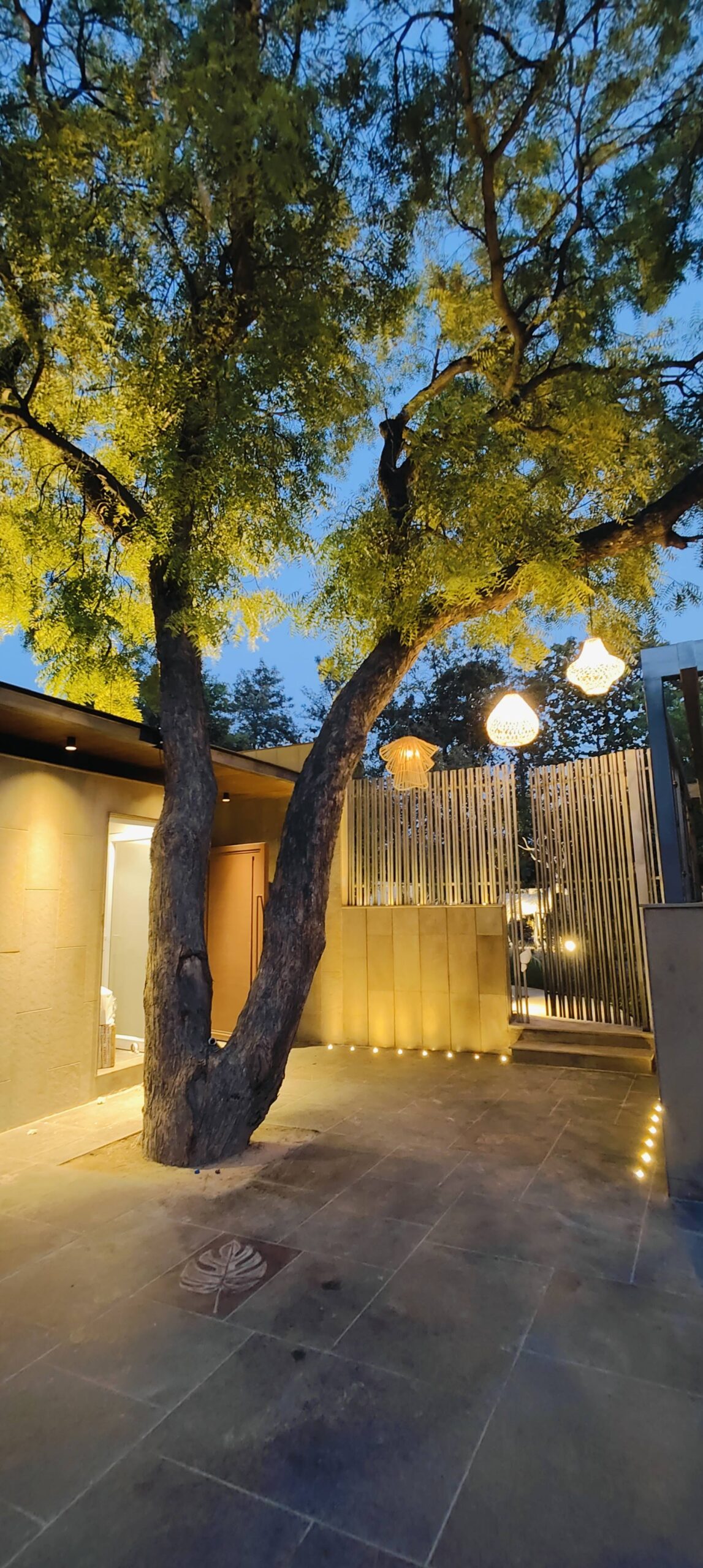 IMG20240606193239-min